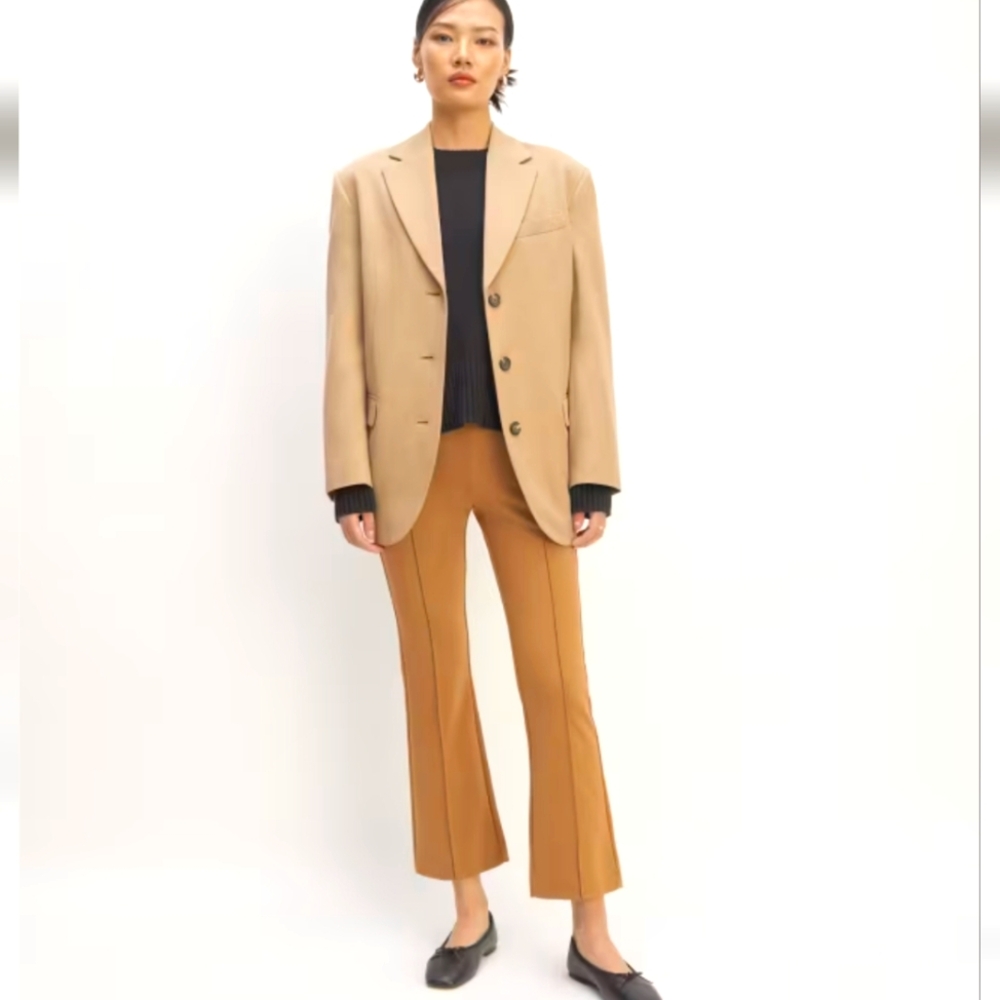 EVERLANE The Dream Kick Flare Pant